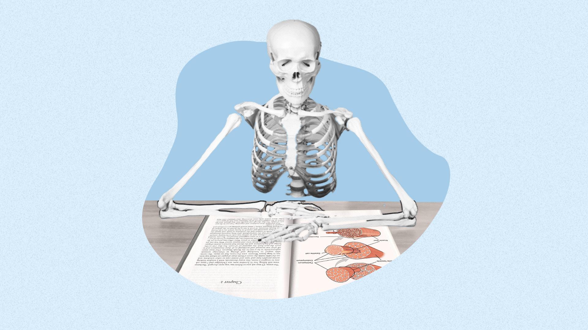 The Ultimate Guide on How to Use Noji for MCAT Exam Preparation
