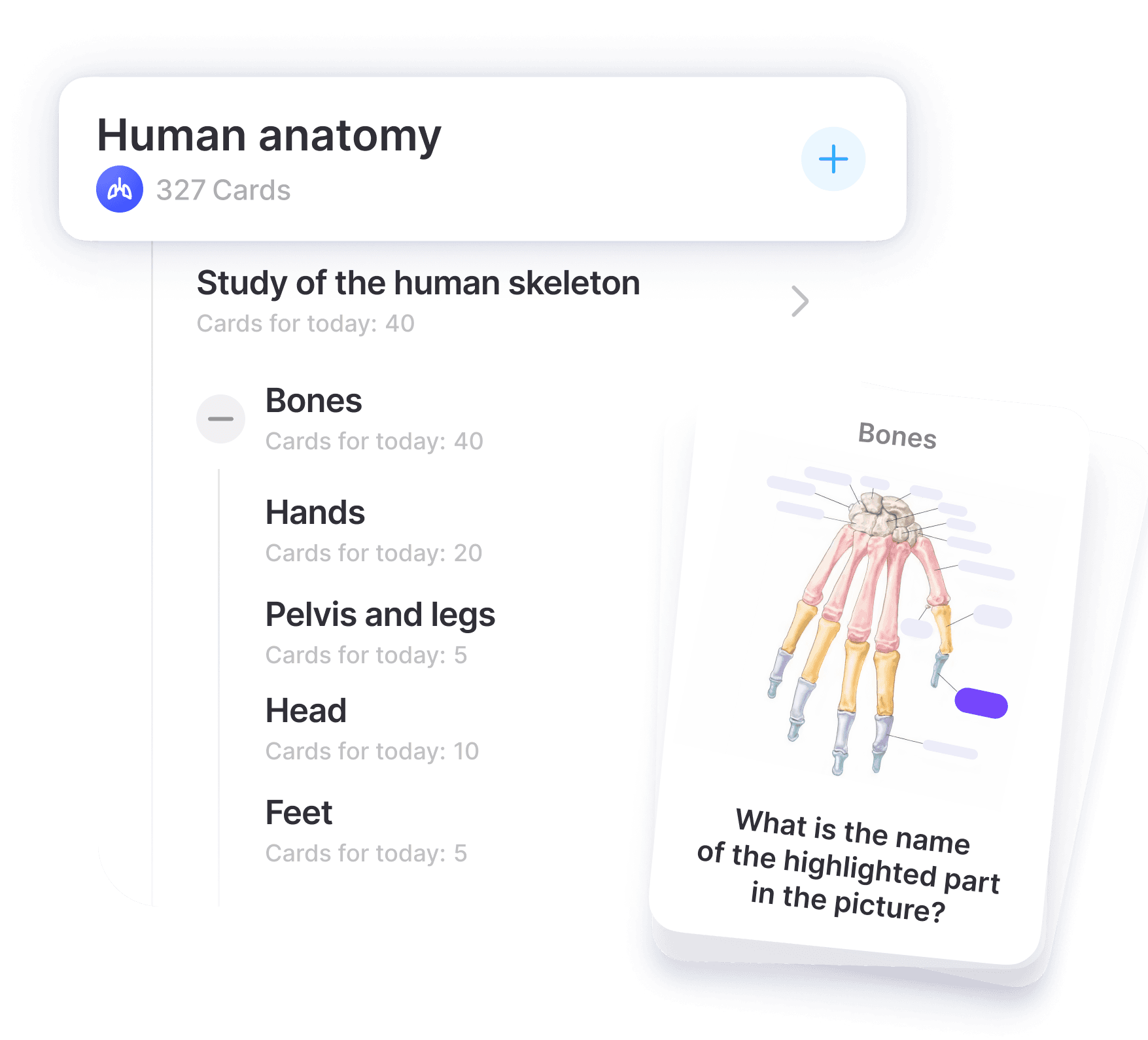 Personnalisez votre apprentissage