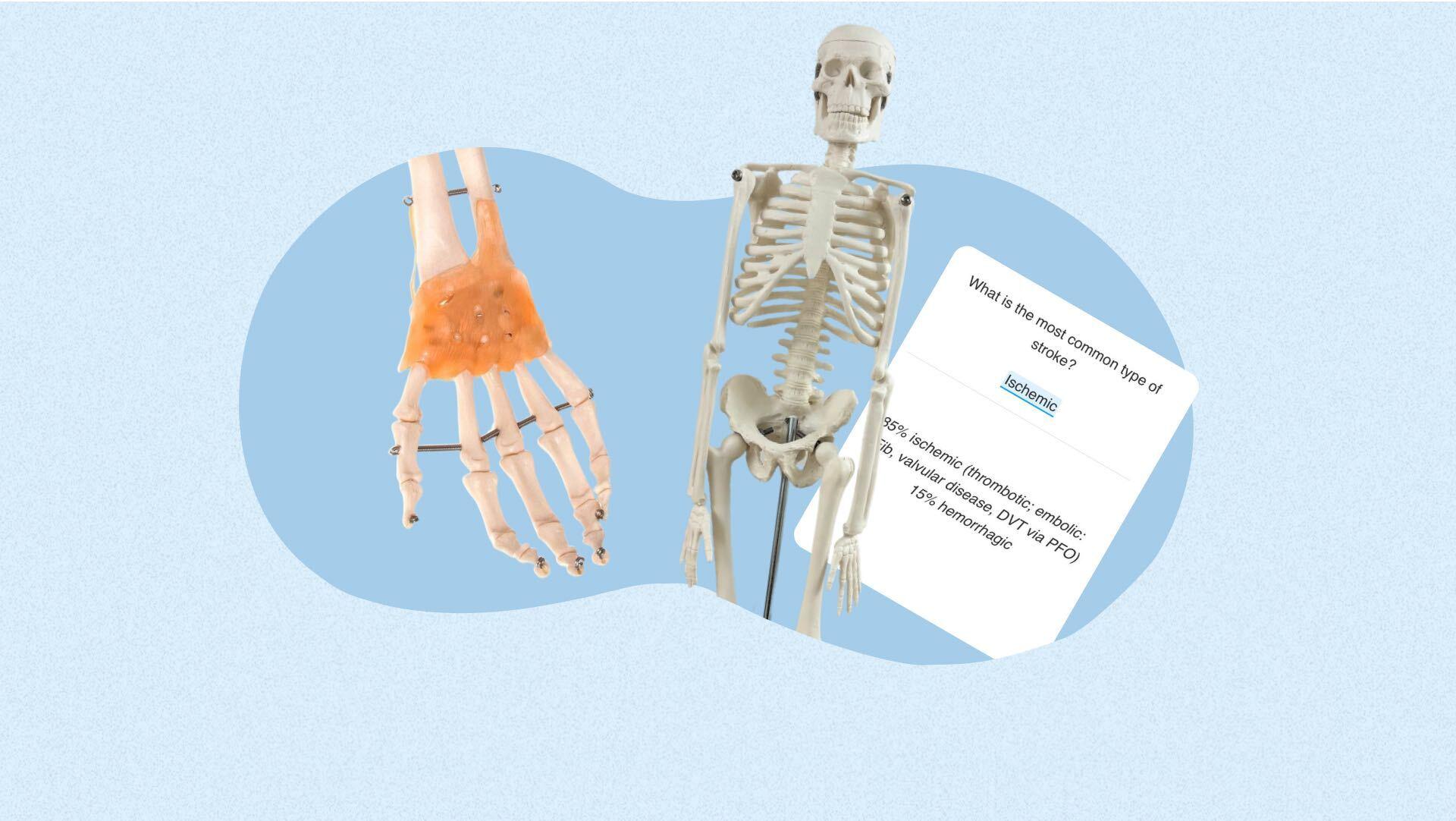 Flashcards to Help Future Doctors: How to Use Noji for Medical school 