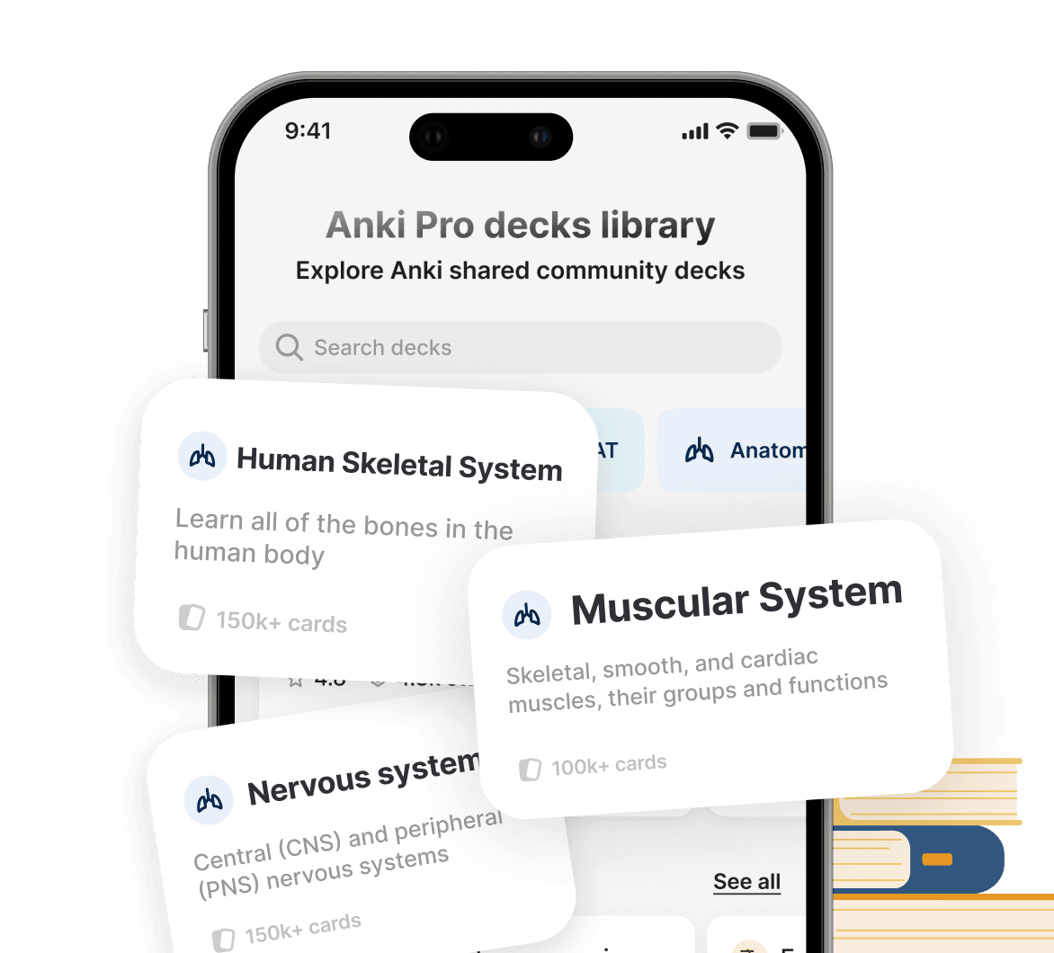 Explore Ready-Made Anatomy Flashcards