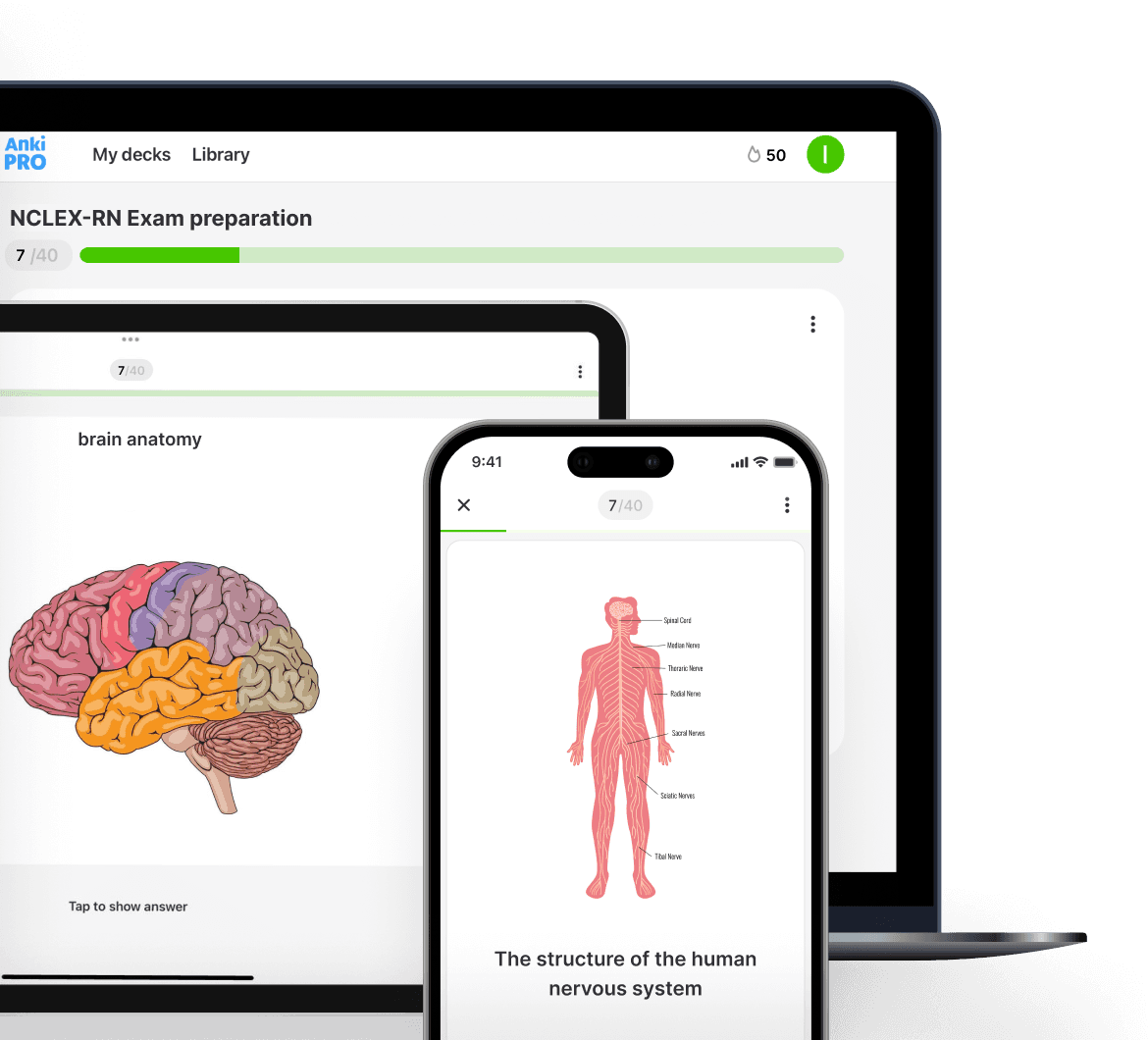 Study Anytime, Anywhere with Anatomy Flashcards