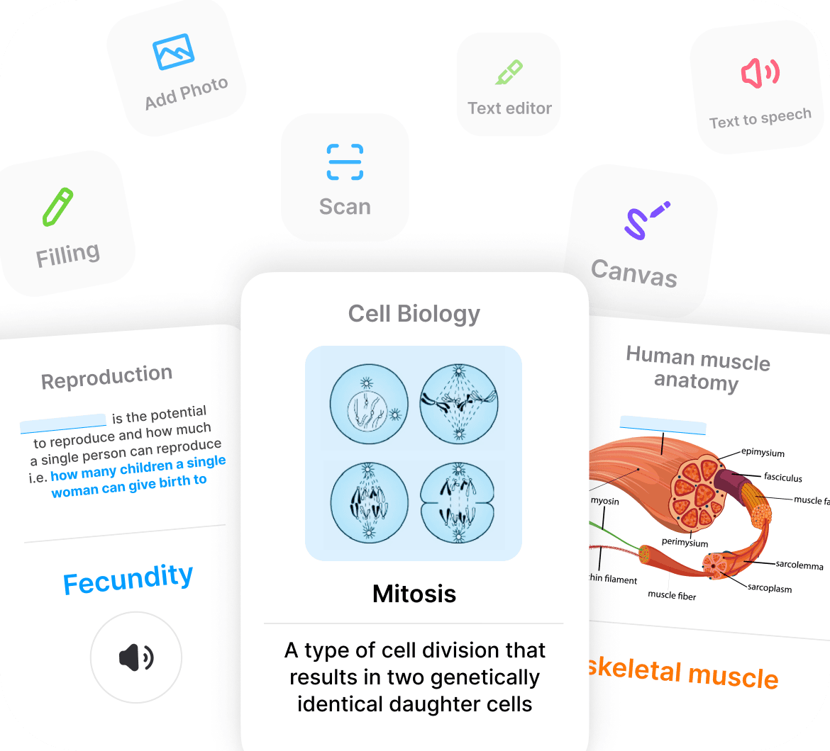 Customize Medical Flashcards