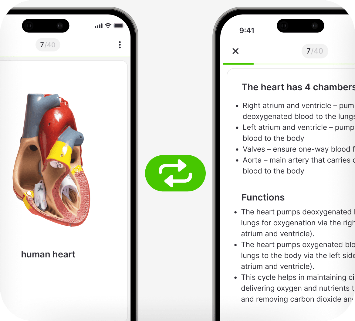 Collaborate with friends