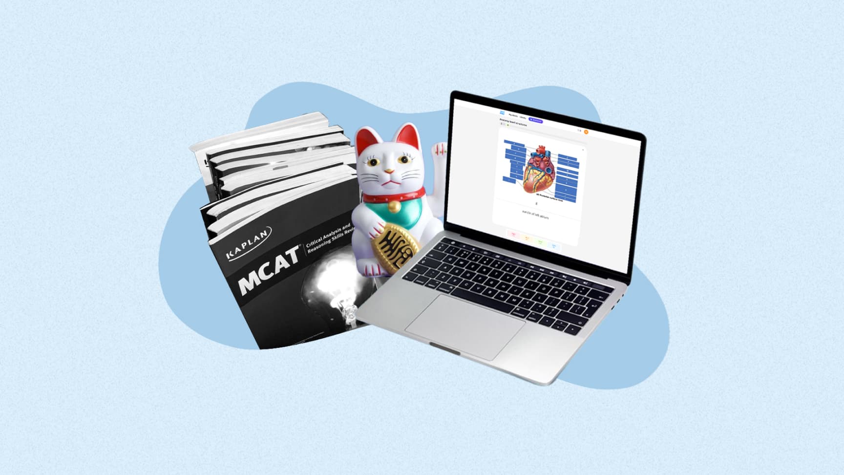 Users Review Noji  Tips and Tricks from True Flashcard Fans