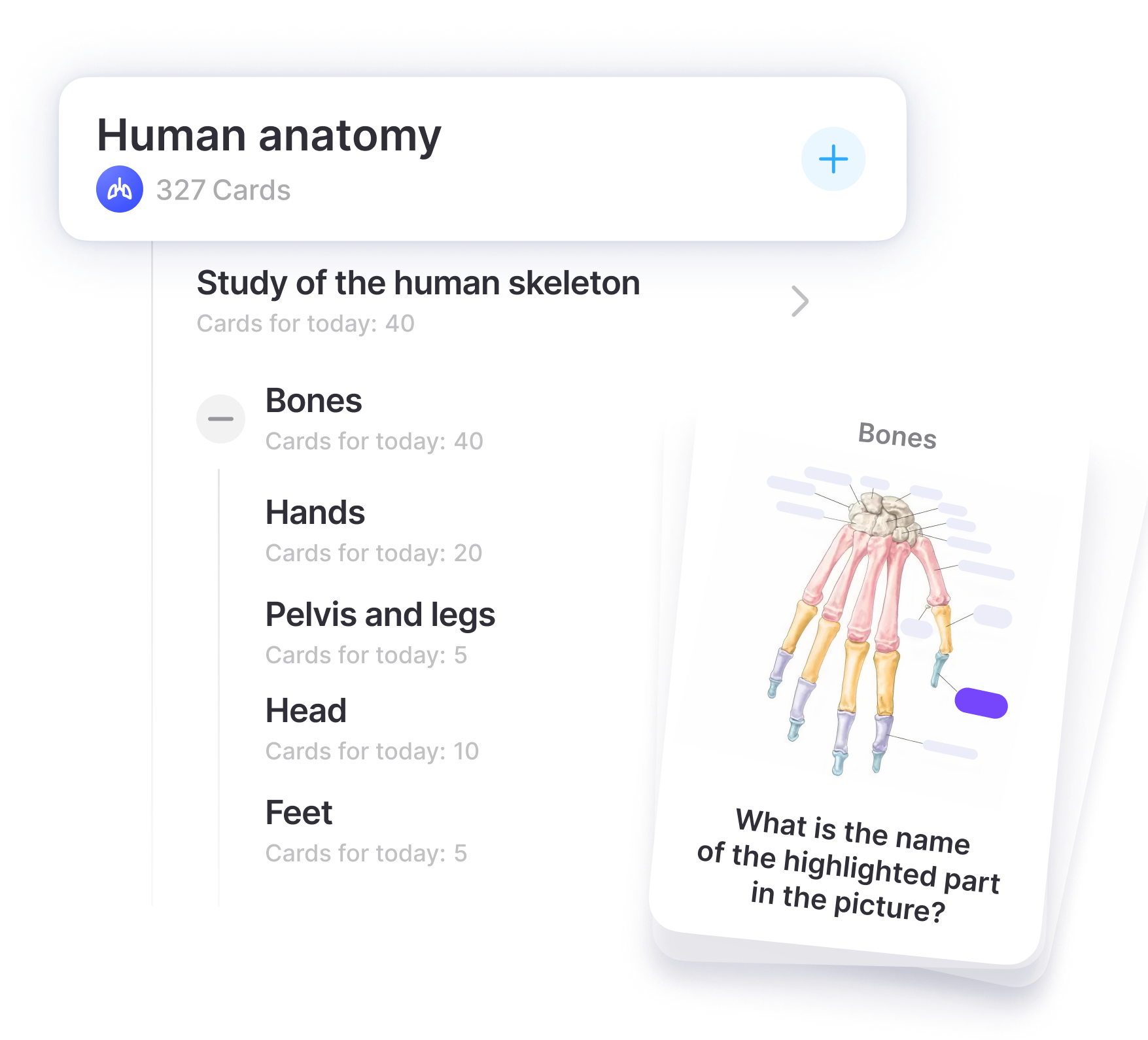 Customize your learning with Image Occlusion