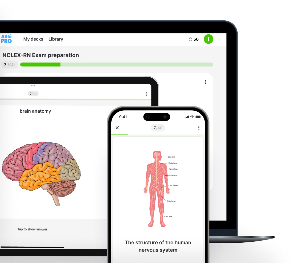 Study Anytime, Anywhere with Anatomy Flashcards