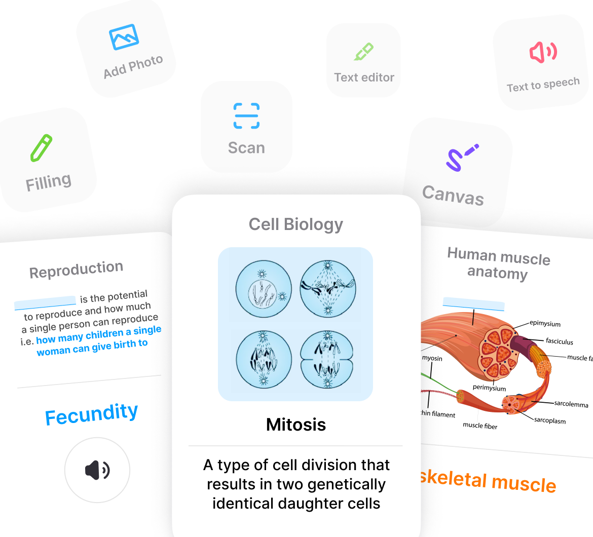 Customize Ihre MCAT-Lernkarten