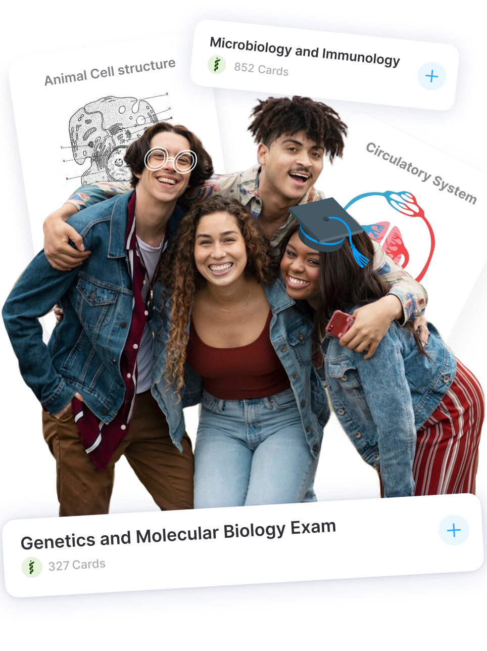 Noji Flashcards for Biology